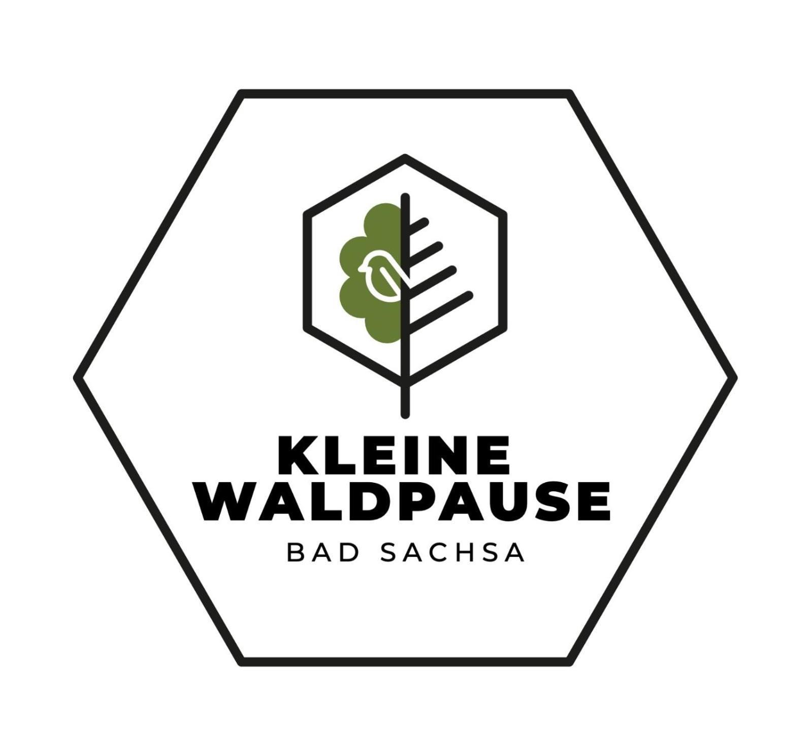 Ferienappartment "Kleine Waldpause" - Optional Mit Saunanutzung Bad Sachsa Exteriör bild