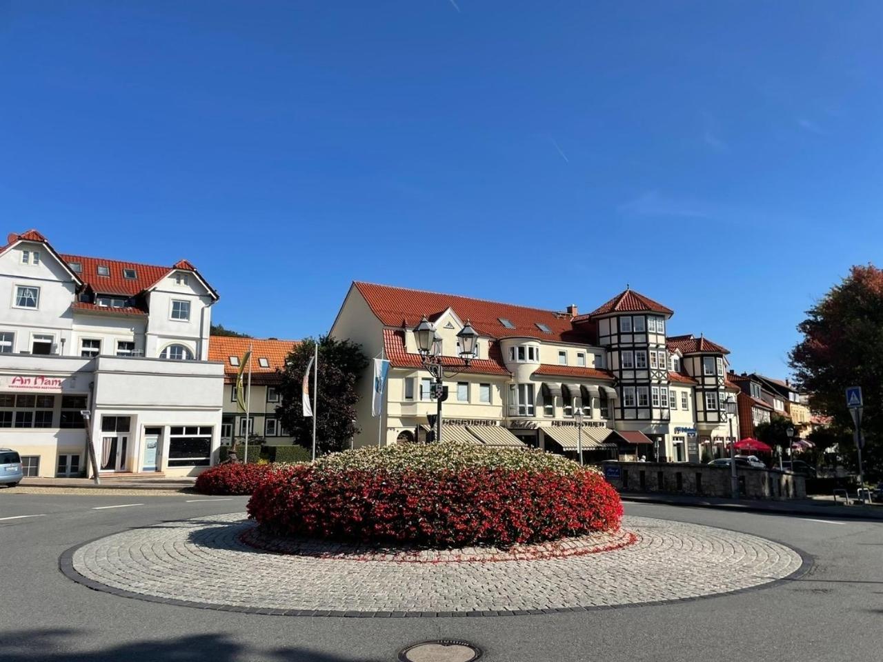 Ferienappartment "Kleine Waldpause" - Optional Mit Saunanutzung Bad Sachsa Exteriör bild