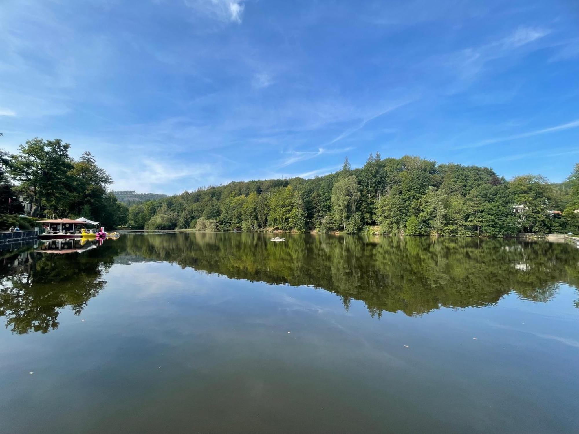 Ferienappartment "Kleine Waldpause" - Optional Mit Saunanutzung Bad Sachsa Exteriör bild